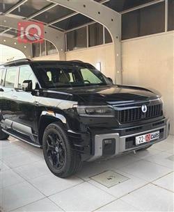 دينزا B8